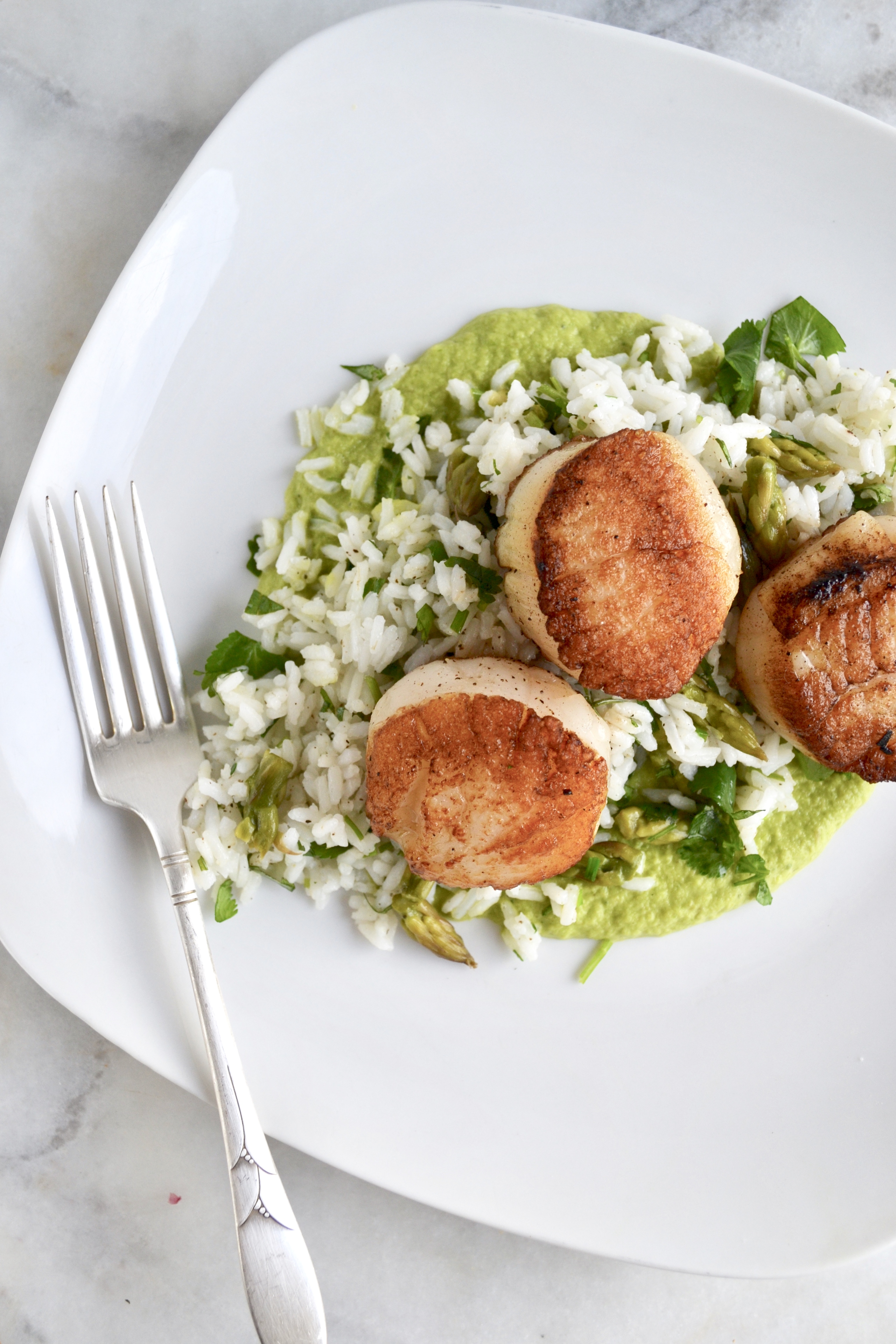 Pan seared scallops with rice and asparagus puree | scallop recipe | dinner recipe | seafood recipe | puree recipe