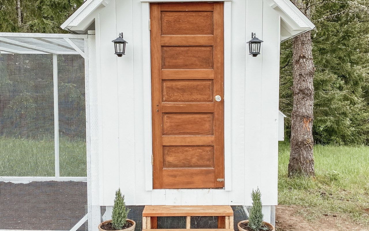 A white chicken coop with a wooden door and black lights on either side. Steps leading up the door with small plants around the stairs