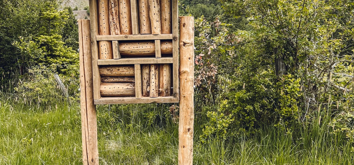 Why You Need a Bee Hotel and How to Build One That is Bee-Friendly